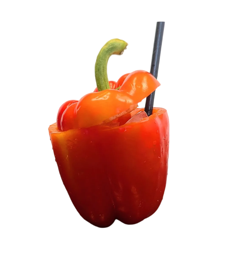 Gin and tonic served in a fresh pepper by Natural Twist